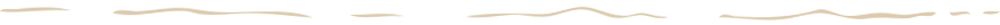 linie_1_1000x25